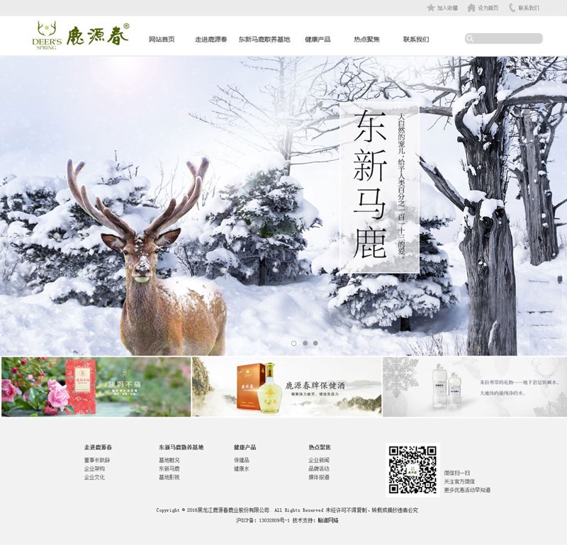 软件开发:推动数字时代的核心力量